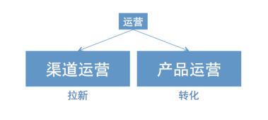 村里來了新運(yùn)營 當(dāng)女村官踏入互聯(lián)網(wǎng)浪潮